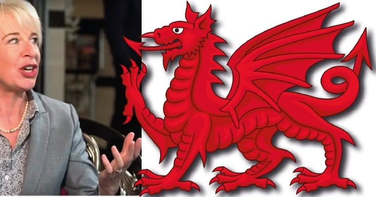 Katie Hopkins and the Welsh Dragon