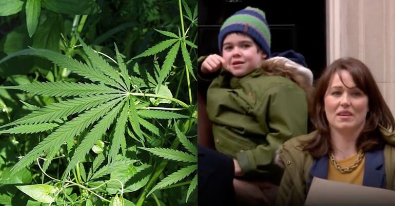 Cannabis (left) Alfie Dingley