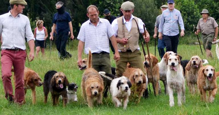 Culmstock Hunt