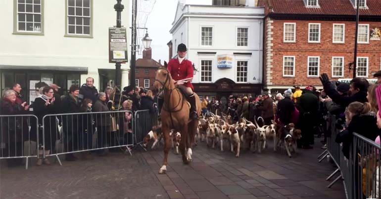 South Notts Hunt in Newark