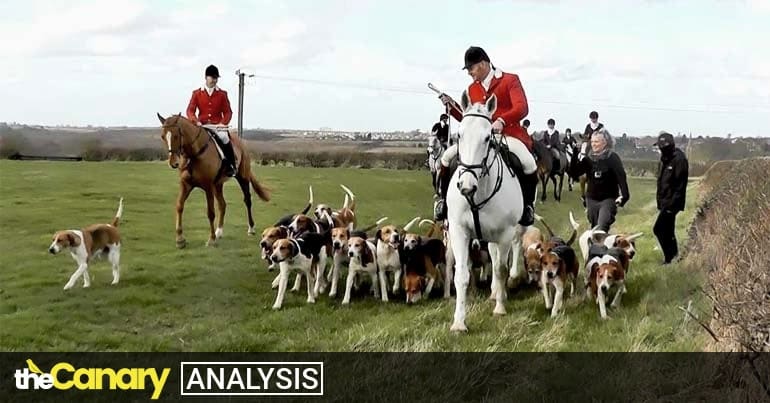 Hunt Saboteurs Claim Victory As One Of England S Most Notorious Hunts Calls It Quits Canary