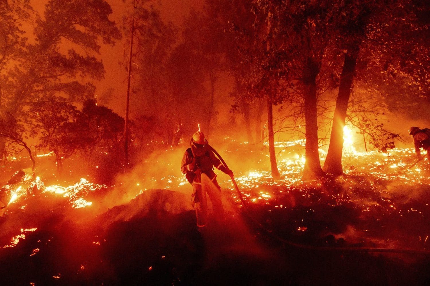 Wildfires in California