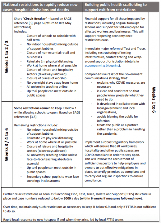 Independent SAGE emergency plan