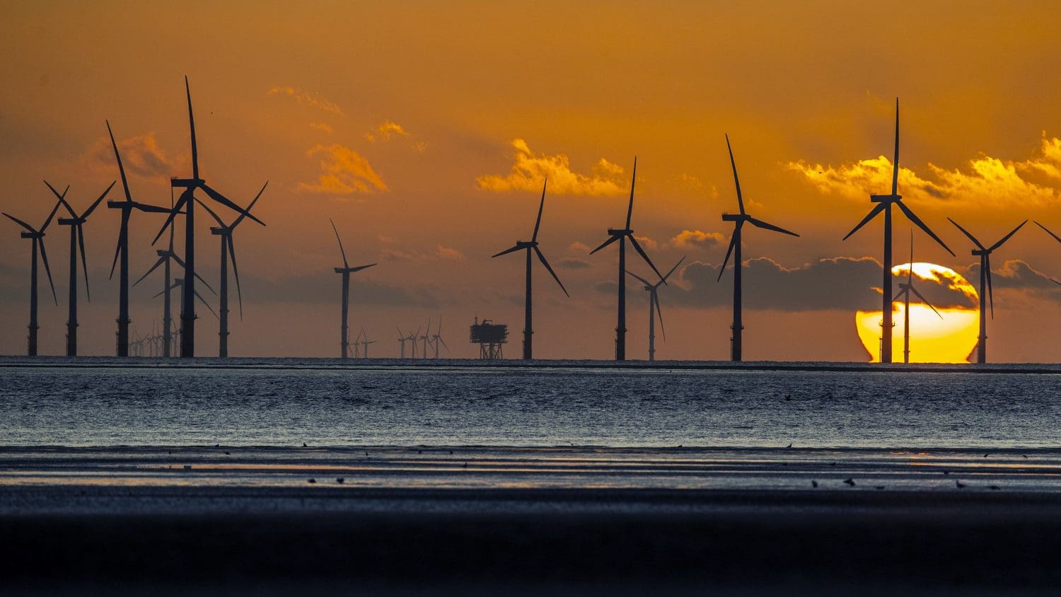 The sun setting behind offshore windfarms