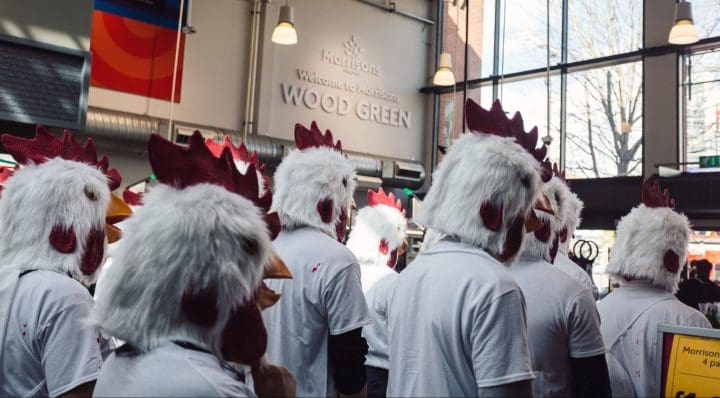 People in chicken costumes protesting inside a Morrisons store