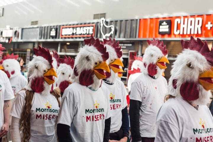 People in chicken costumes protesting inside a Morrisons store