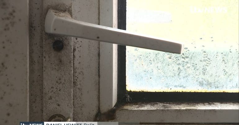 Mould in a rented flat