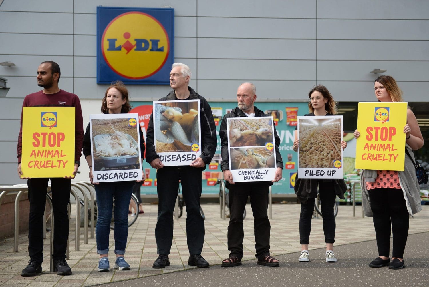 Lidl Protest Glasgow Open Cages 