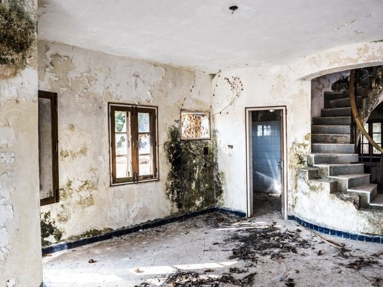 A mouldy property Renters Reform Bill