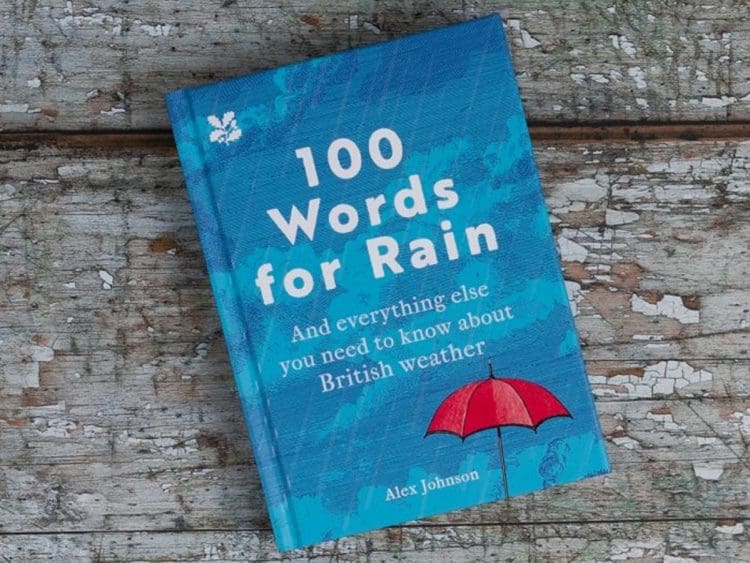 Cover of 100 Words for Rain