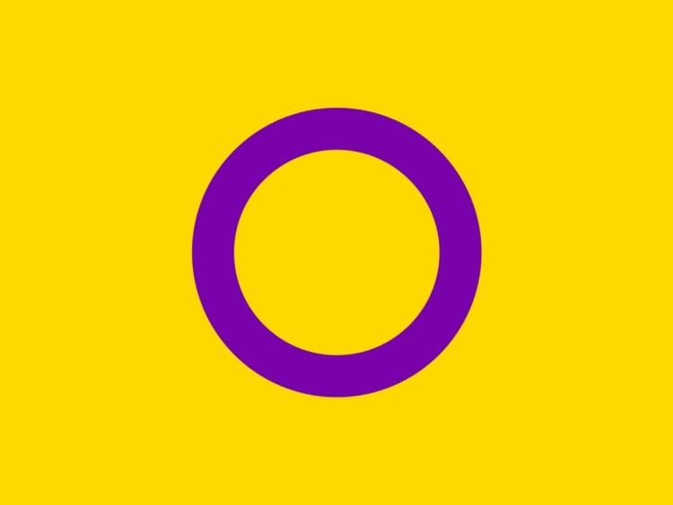 Intersex people pride flag UN resolution