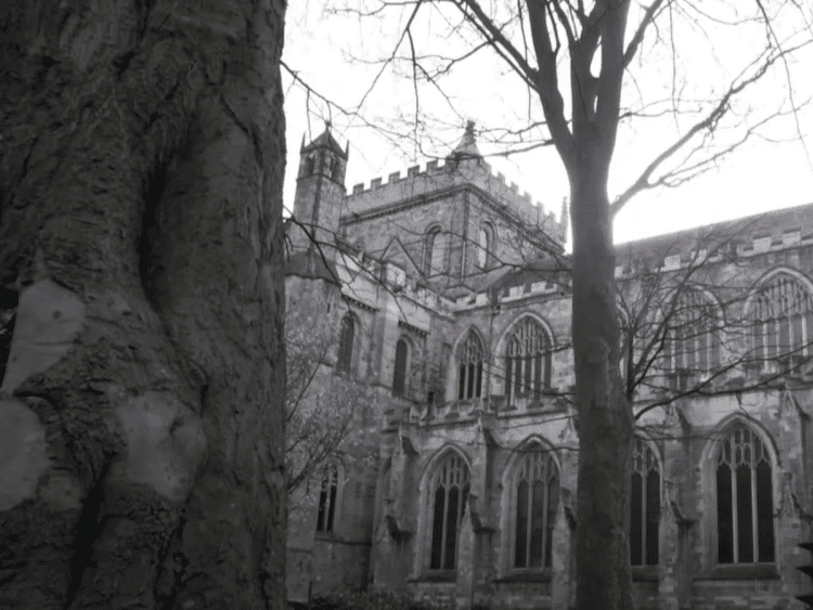 Trees in front of Ripon Cathedral.