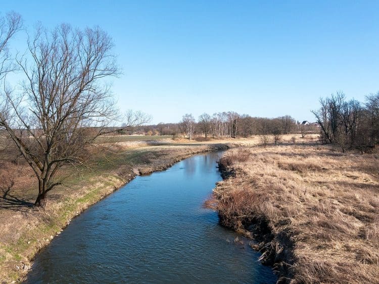 View of the Lausitzer Neiße river between Neißeaue, Germany and Piensk, Poland TFA forever chemical water