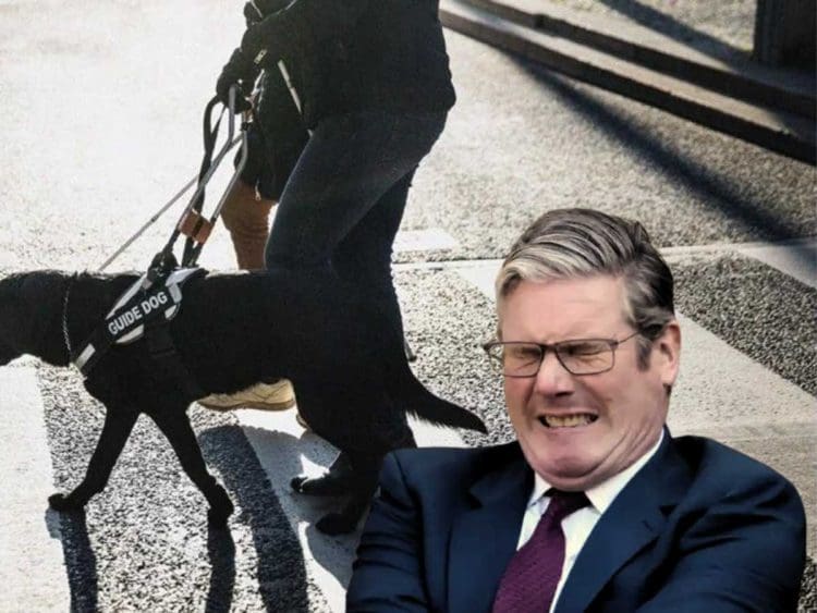 Keir Starmer grimacing at a person with a black guide dog walking across a zebra crossing because he hasn't published Labour accessible manifesto yet