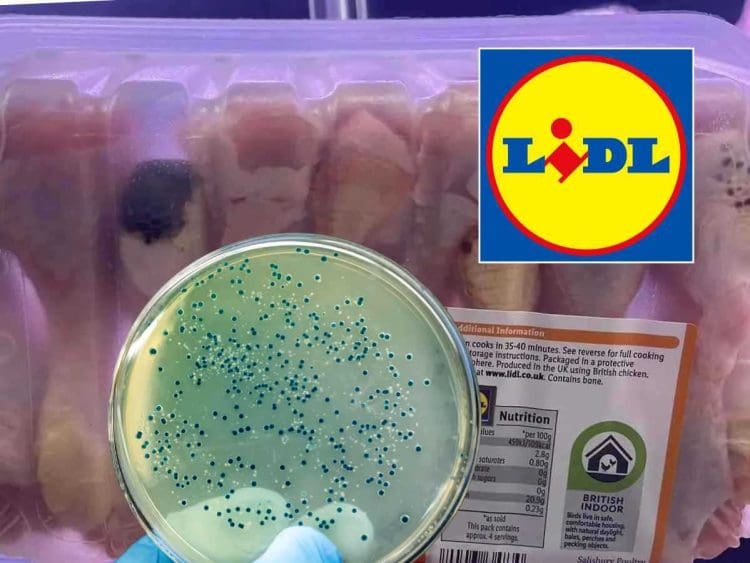 Lidl chickens E-coli