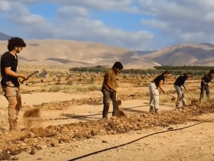 People digging to plant trees Israel green ads google