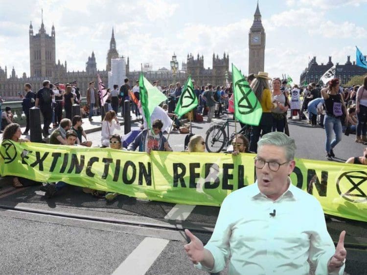 Extinction Rebellion general election