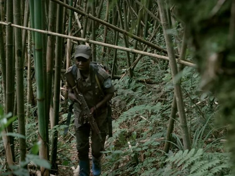 Eco guard trekking through forest with a gun in Kahuzi-Biega National Park DRC fortress conservation