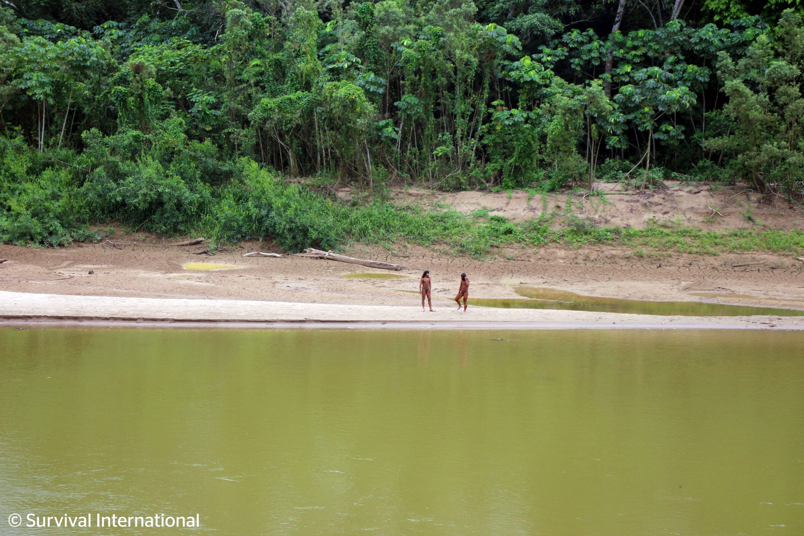 Two Mashco Piro people stand on the bank under rainforest, across from a wide river. 