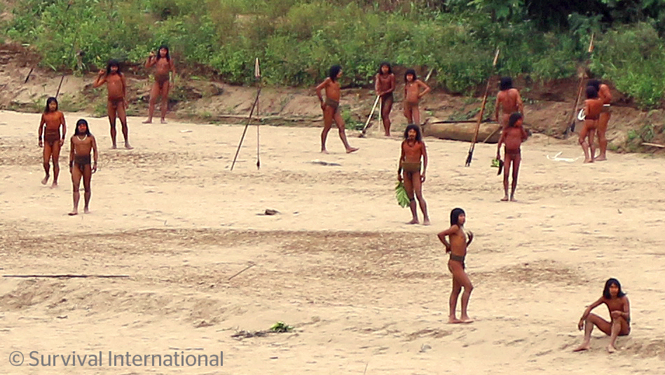 About a dozen Mashco Piro people gathered on the river bank with jungle behind them. 