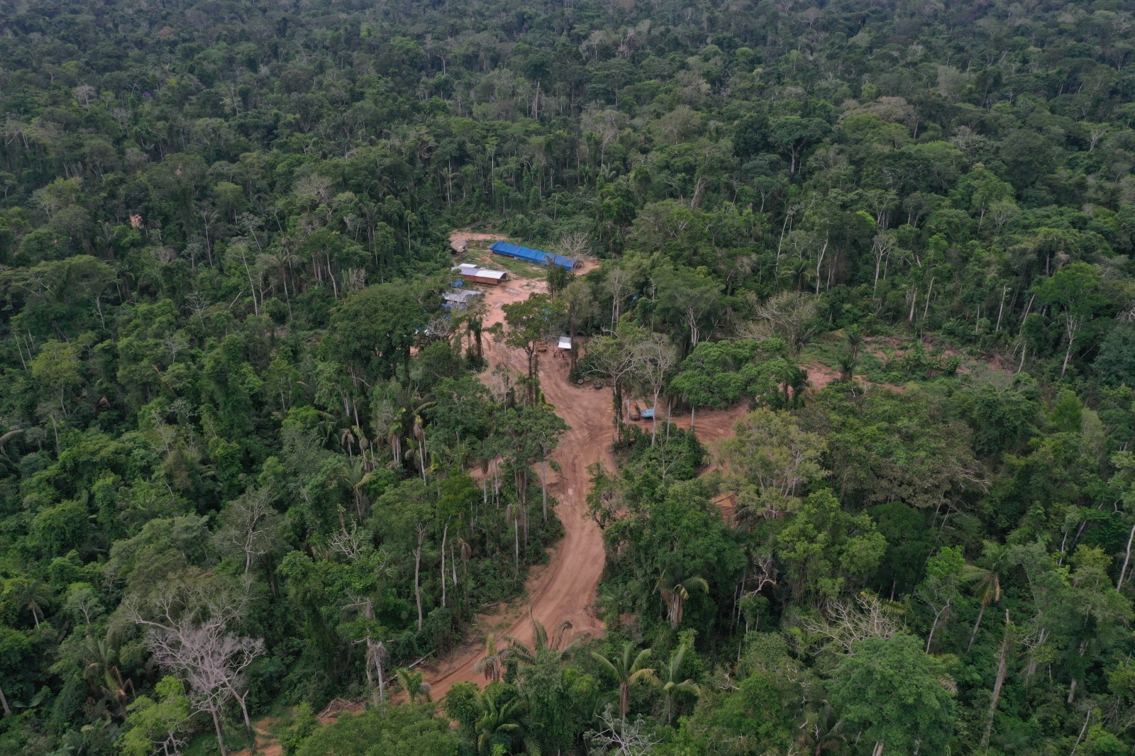 Loggers base in Mashco Piro land cutting through rainforest. 