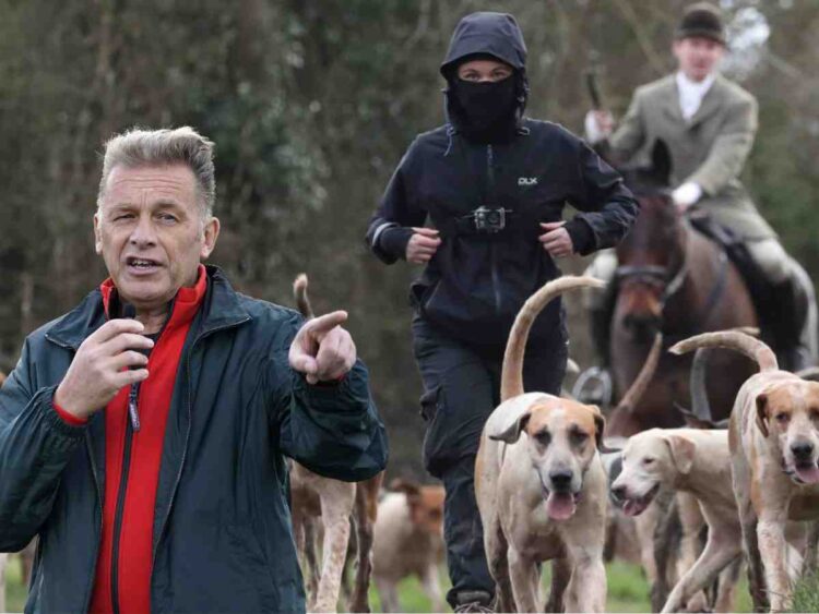 fox hunting Chris Packham Hunt Saboteurs