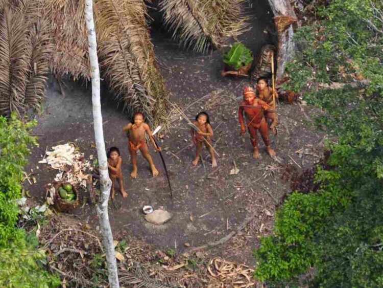 Brazil Indigenous People suicide