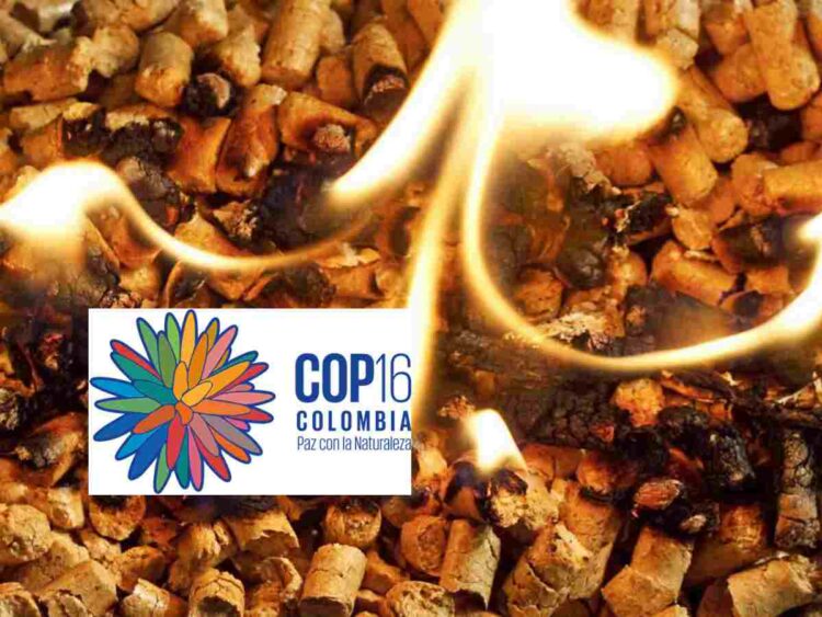 CBD COP16 biomass