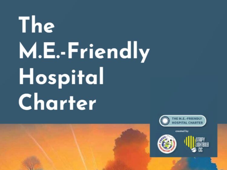 Text reading: "The M.E.-Friendly Hospital Charter", with ME Foggy Dog, and the Stripy Lightbulb Club logos, with a vivid orange sunset and clouds along the bottom of the image ME/CFS