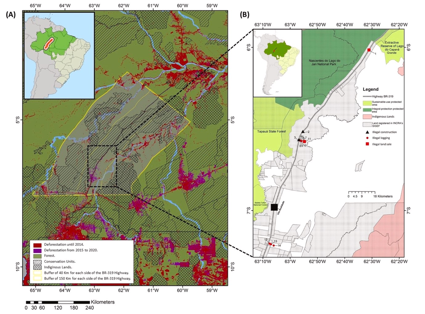 Deforestation along BR-319 highway from 1988 to 2020.