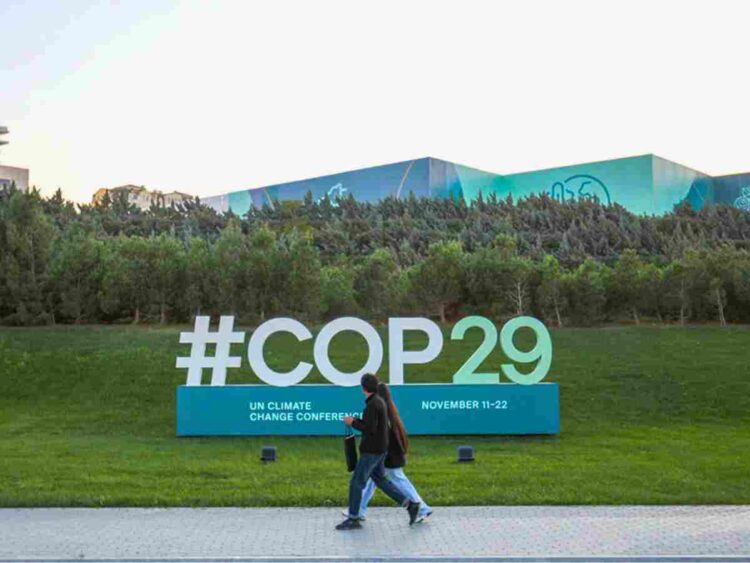 COP29 biomass energy