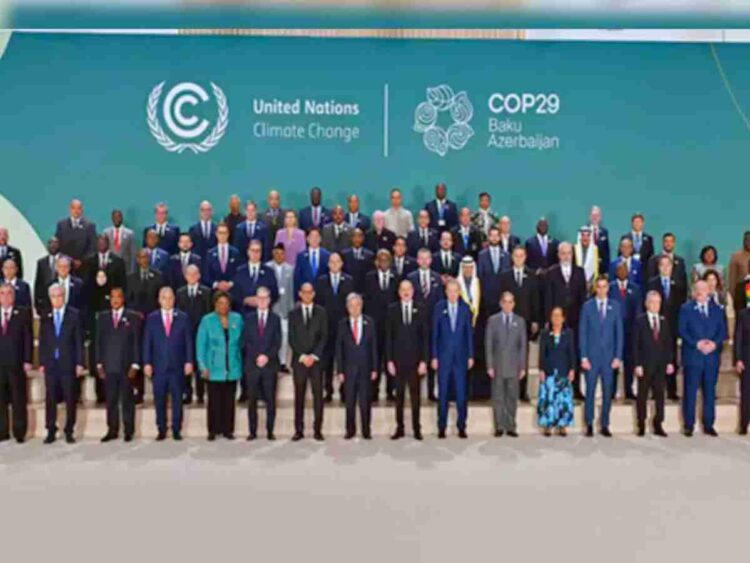 COP29 carbon markets