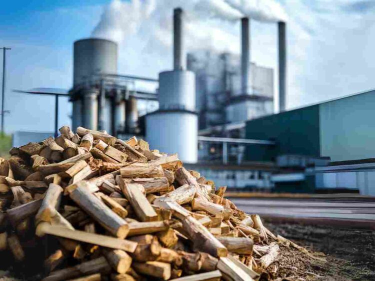 biomass industry