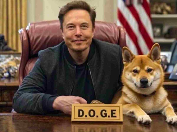 Elon Musk DOGE