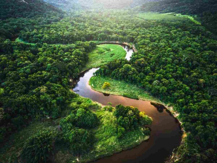 Brazil biodiversity