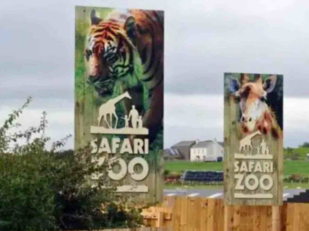 Cumbria Safari Zoo finally closing - 500 animal deaths later