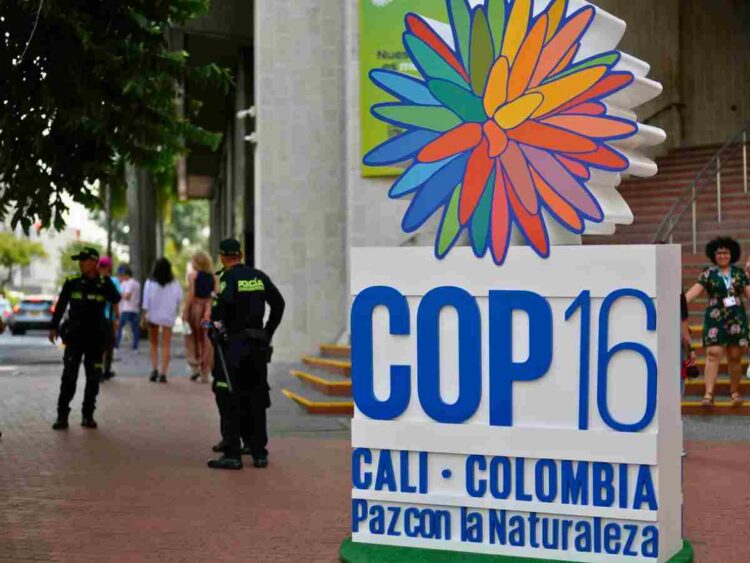 COP16 conference on biodiversity