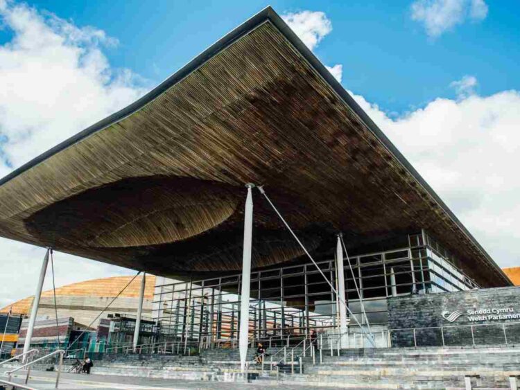 Wales Senedd peace campaign day