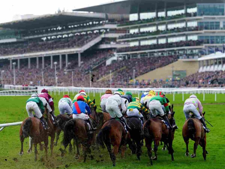 Cheltenham Festival