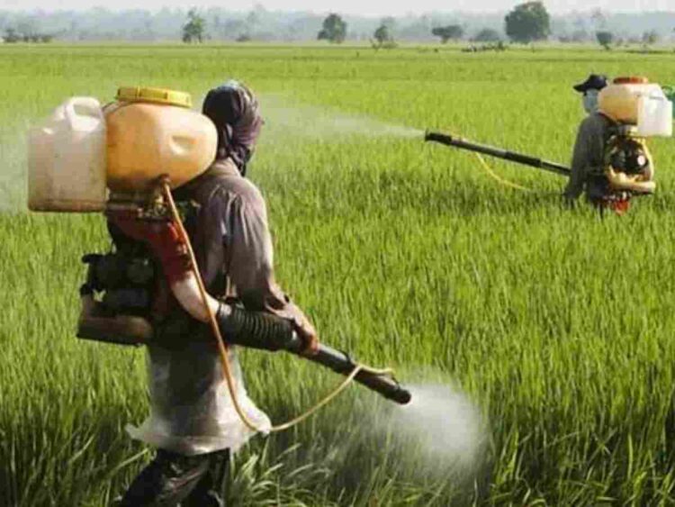 Brazil pesticide law